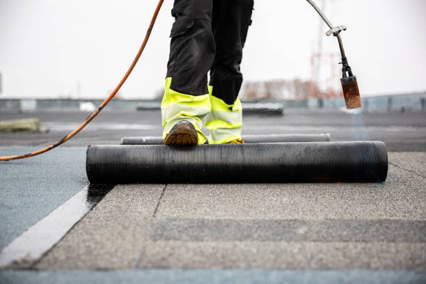 Best Solar Panel Roofing Installation  in Pearsall, TX