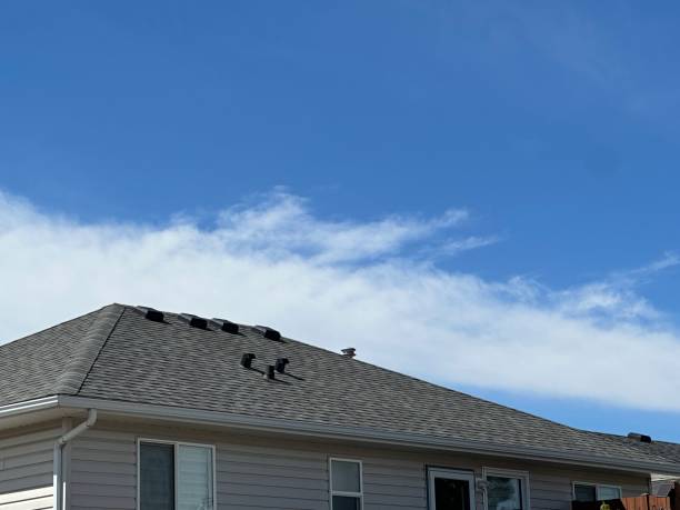 Best Commercial Roofing Services  in Pearsall, TX
