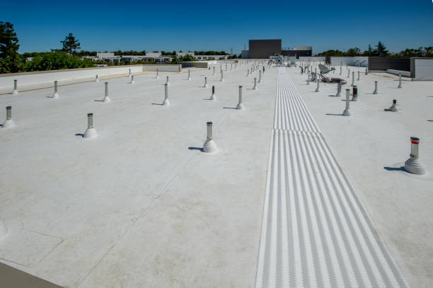 Best Metal Roofing Installation  in Pearsall, TX